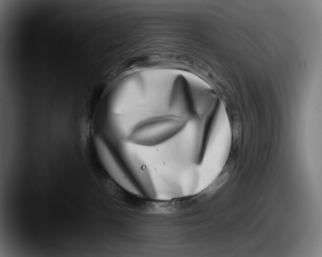 X0000087560188200705181131