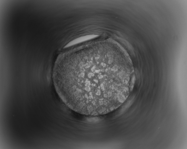 X0000087560189200705181131