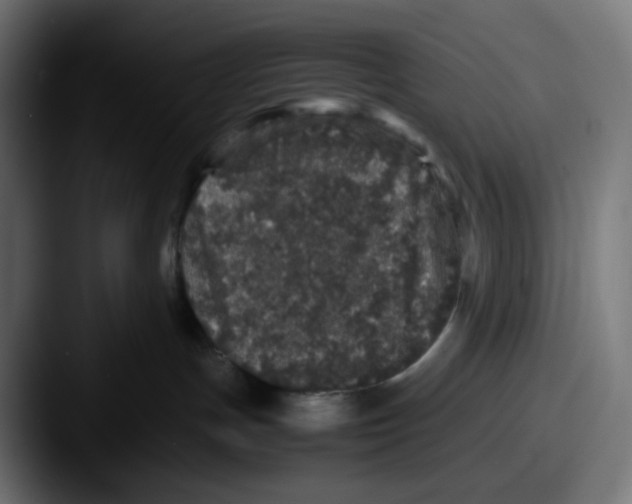X0000087560191200705181131