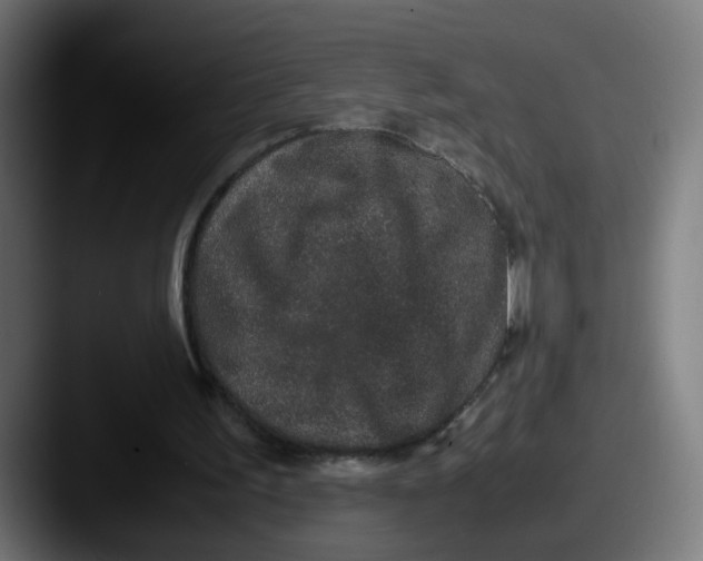 X0000087560195200705181131