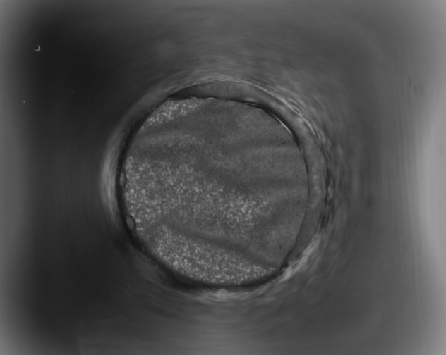 X0000087560197200705181131