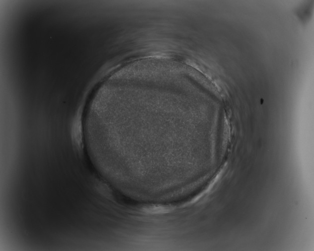 X0000087560198200705181131