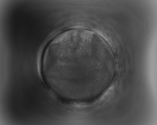 X0000087560199200705181131