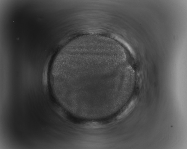 X0000087560203200705181131