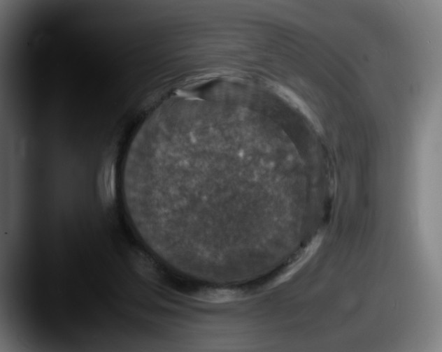 X0000087560205200705181131