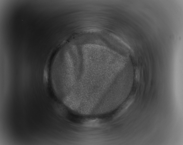 X0000087560206200705181131