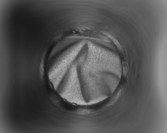 X0000087560207200705181131