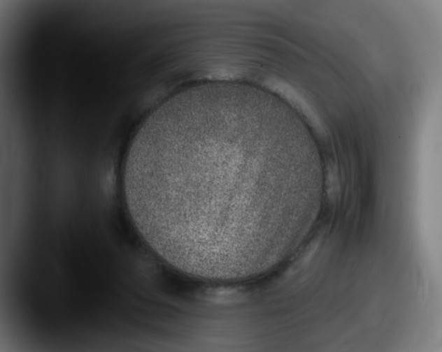 X0000087560208200705181130