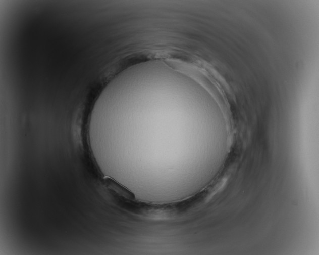 X0000087560209200705181130