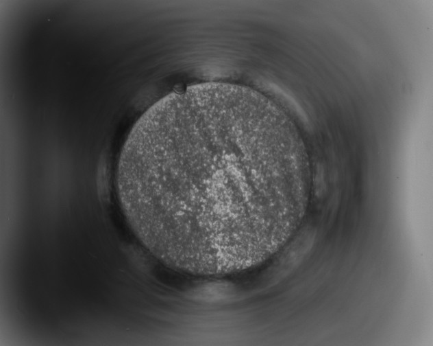 X0000087560210200705181130