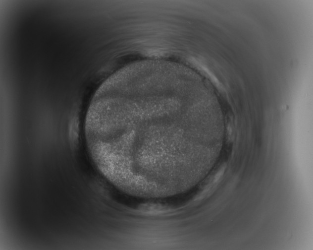 X0000087560211200705181130