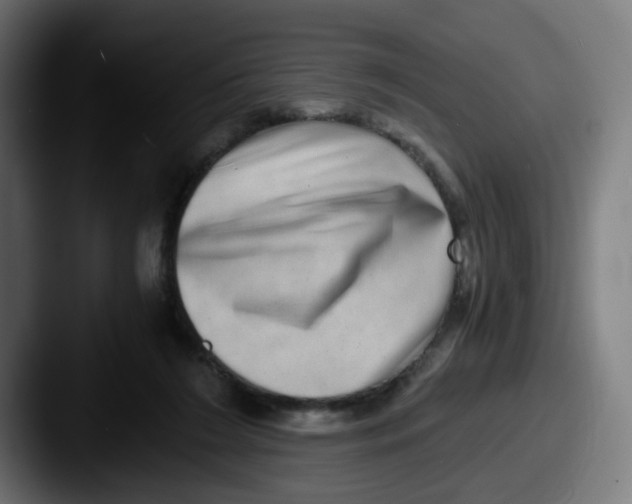 X0000087560212200705181130