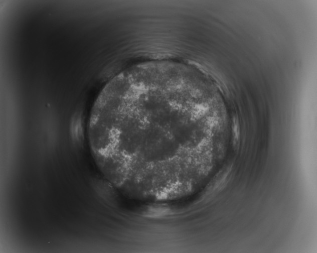 X0000087560214200705181130
