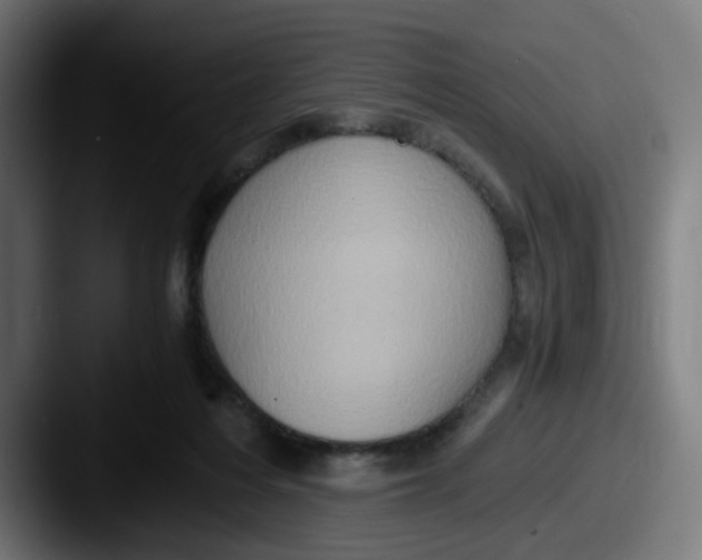 X0000087560216200705181130