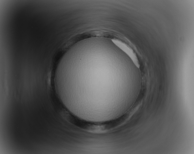 X0000087560217200705181130