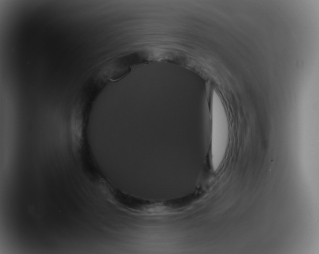 X0000087560219200705181130
