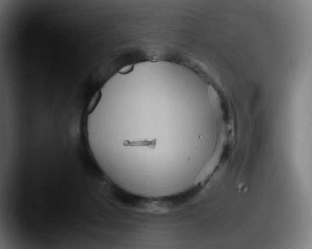 X0000087560221200705181130