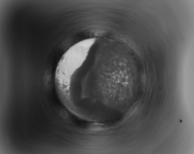 X0000087560222200705181130