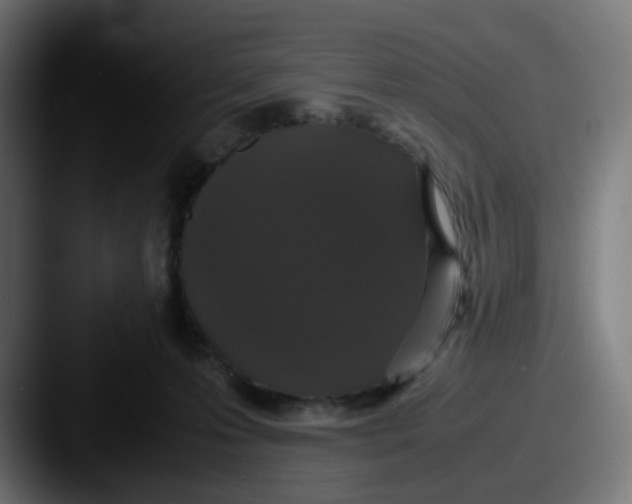 X0000087560223200705181130