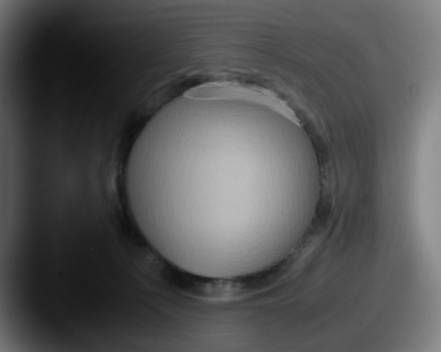 X0000087560225200705181130