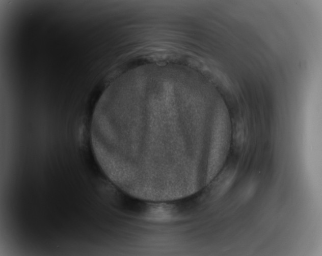 X0000087560226200705181130