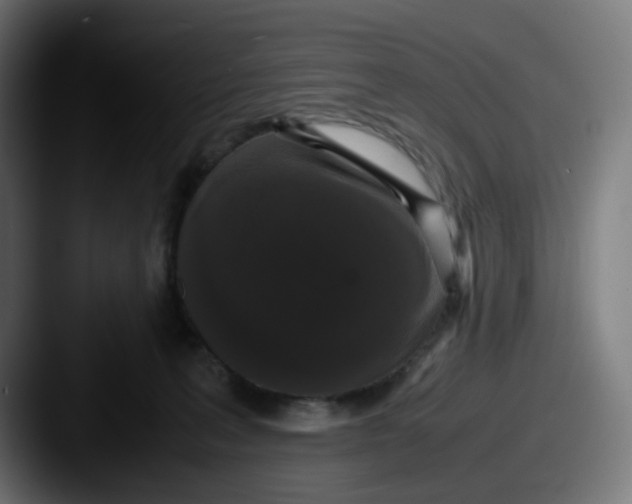 X0000087560227200705181130