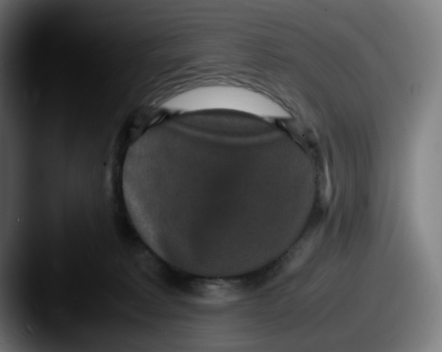 X0000087560229200705181130