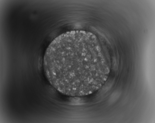X0000087560230200705181130