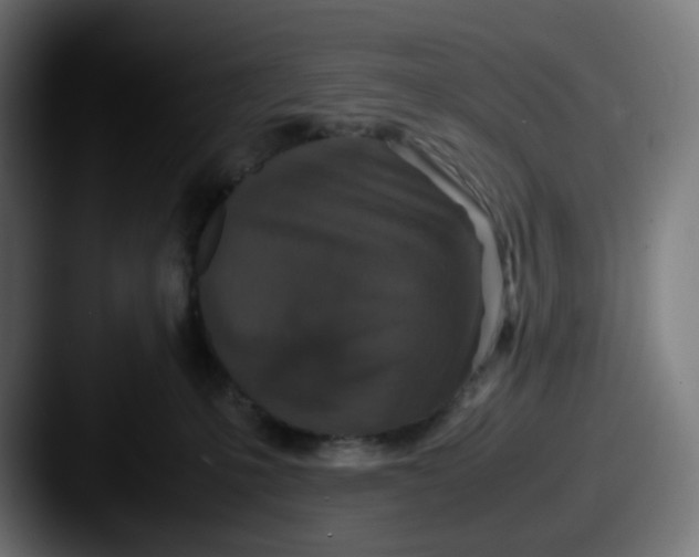 X0000087560231200705181130