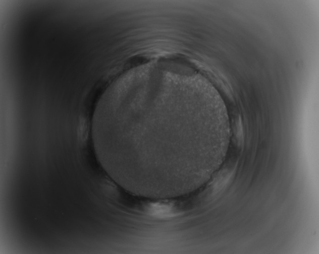 X0000087560232200705181130
