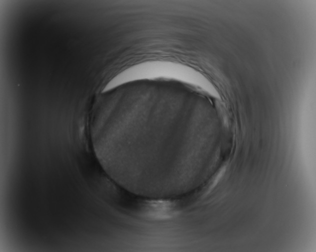 X0000087560233200705181130