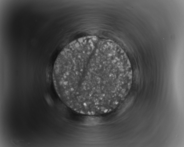X0000087560234200705181130