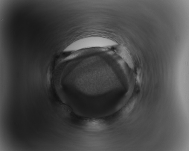 X0000087560235200705181130