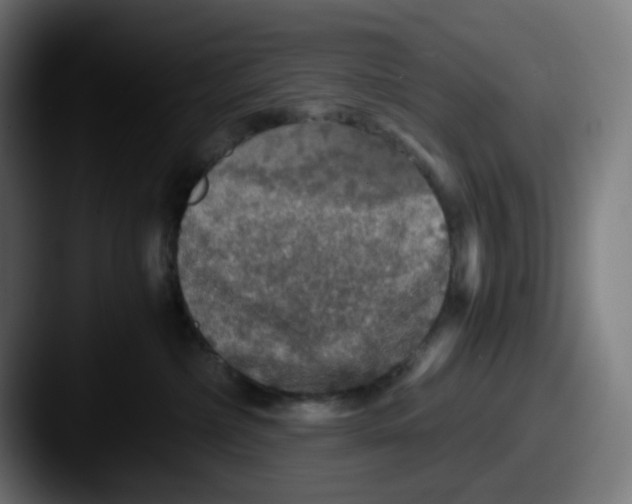 X0000087560236200705181130