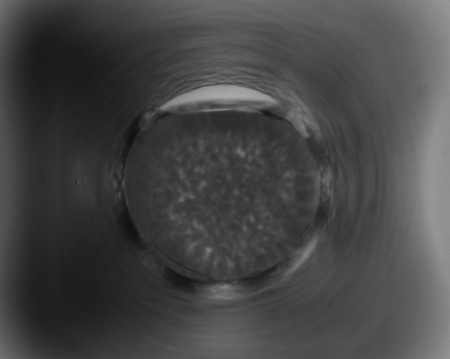 X0000087560237200705181130