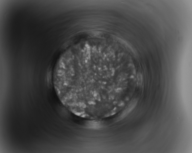 X0000087560238200705181130
