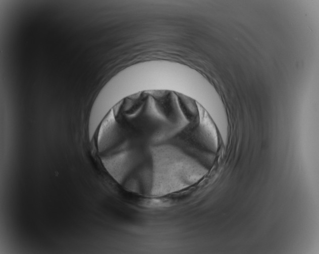 X0000087560239200705181130