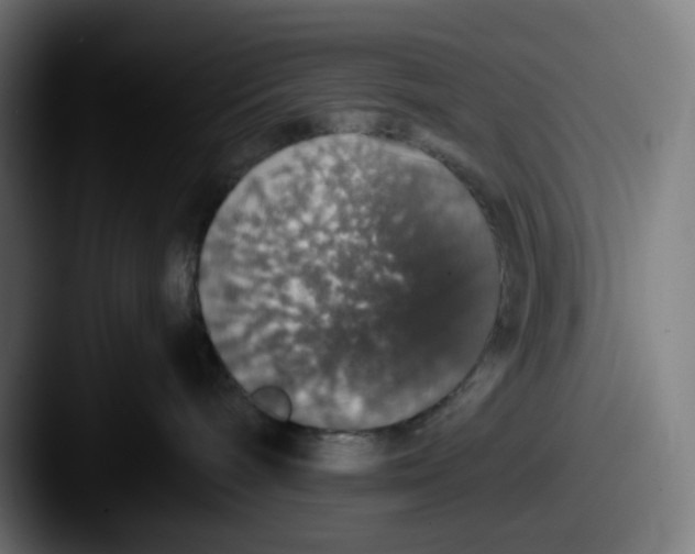 X0000087560240200705181130