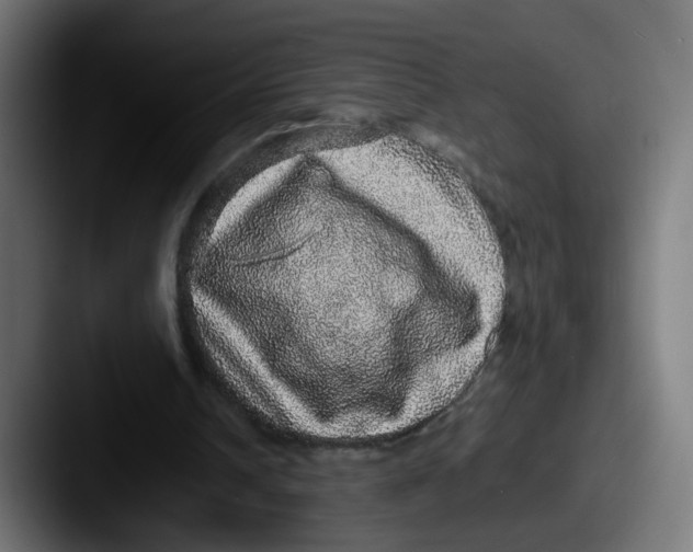 X0000087560242200705181130