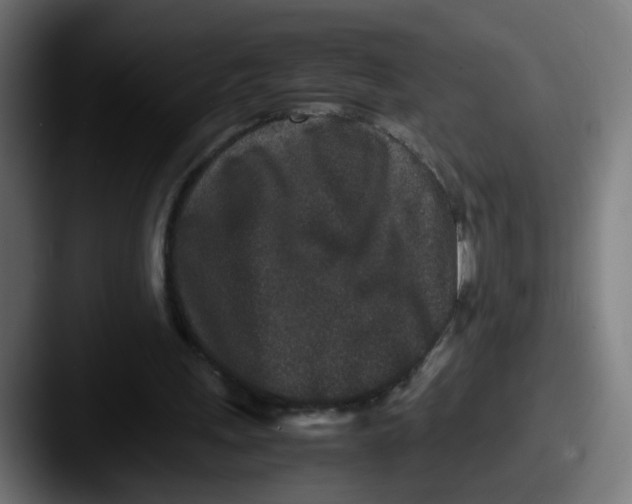 X0000087560243200705181130