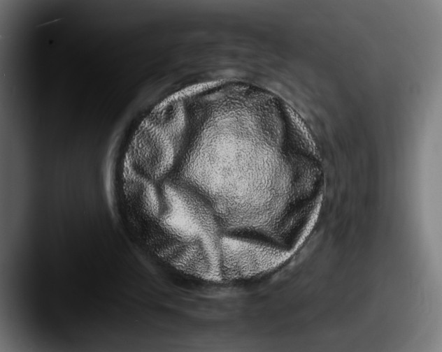 X0000087560245200705181130
