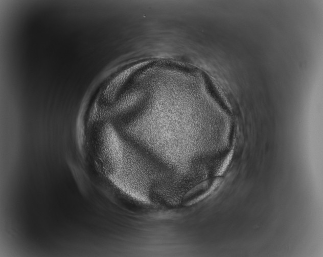 X0000087560246200705181130