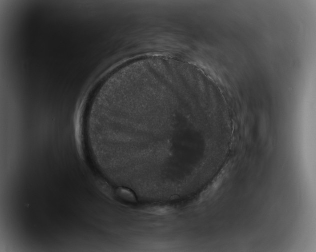 X0000087560247200705181130