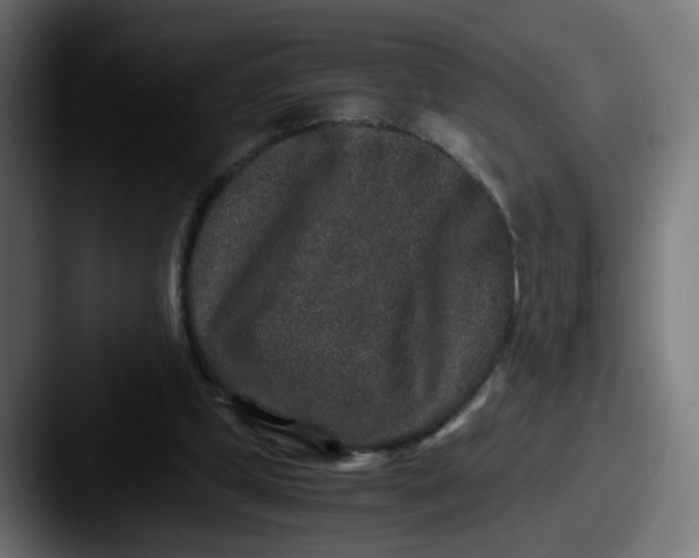 X0000087560249200705181130