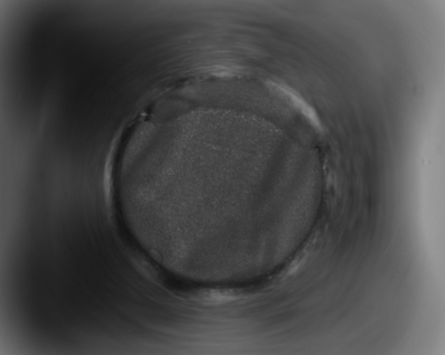 X0000087560250200705181130