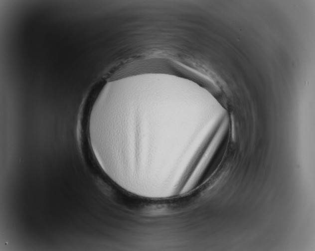 X0000087560252200705181130