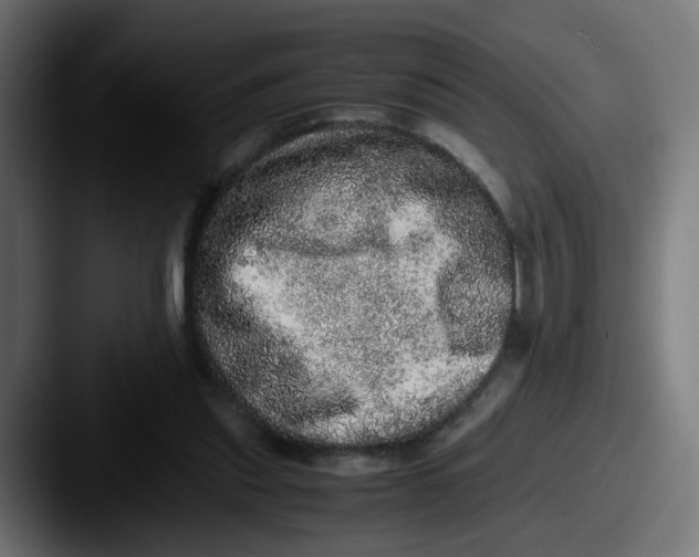 X0000087560253200705181130