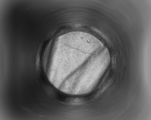 X0000087560254200705181130