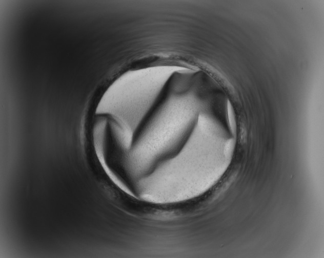 X0000087560256200705181130