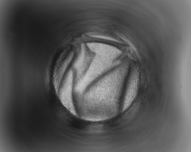 X0000087560257200705181130